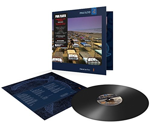 Pink Floyd - Pink Floyd - Momentary Lapse Of Reason (2011 Remastered) LP Vinyl - PORTLAND DISTRO