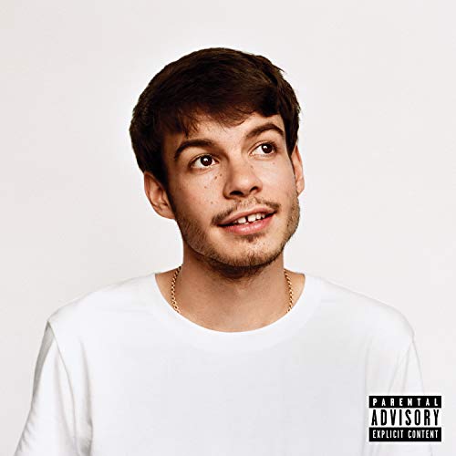 Rex Orange County - Pony Vinyl - PORTLAND DISTRO