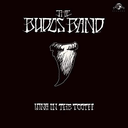 The Budos Band - Long In The Tooth (Digital Download Card) Vinyl - PORTLAND DISTRO