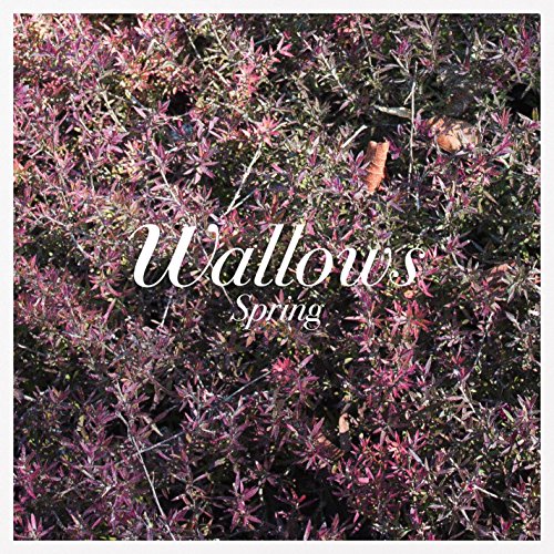 Wallows - Spring Vinyl - PORTLAND DISTRO