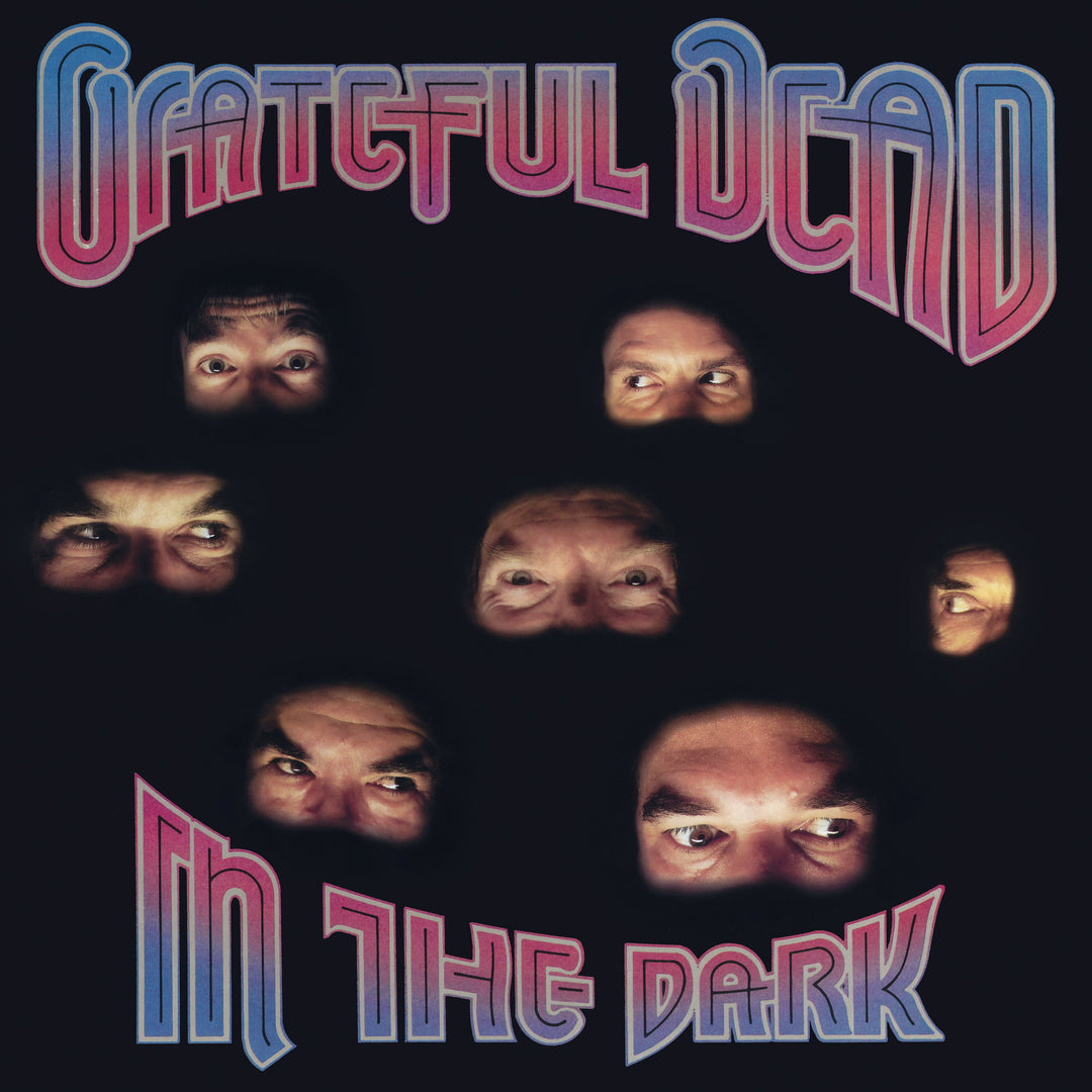 Grateful Dead - In the Dark Vinyl - PORTLAND DISTRO