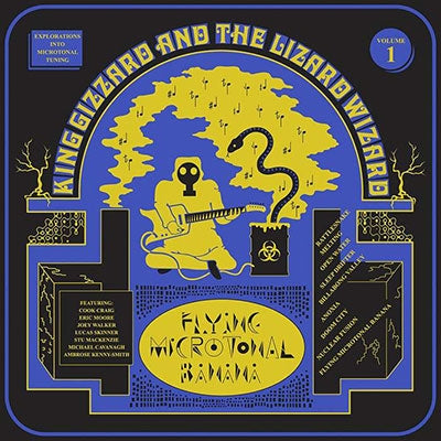 King Gizzard & The Lizard Wizard - Flying Microtonal Banana [Eco-Wax Edition LP] Vinyl - PORTLAND DISTRO