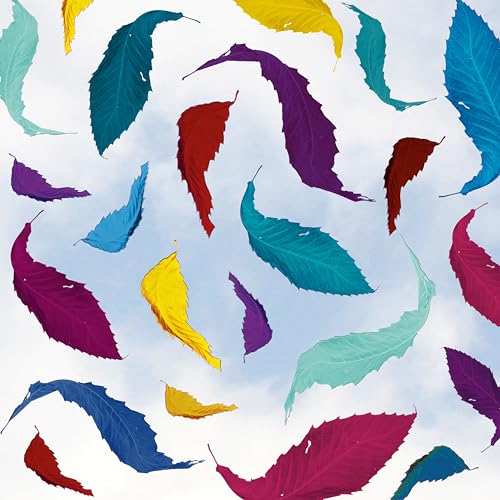 New Order - True Faith Remix (2023 Remaster) Vinyl - PORTLAND DISTRO