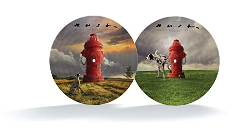 Rush - Signals (40th Anniversary) [Picture Disc LP] Vinyl - PORTLAND DISTRO