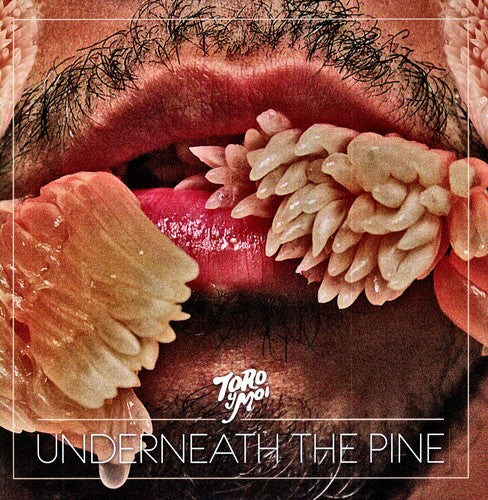 Toro Y Moi - Underneath the Pine Vinyl - PORTLAND DISTRO