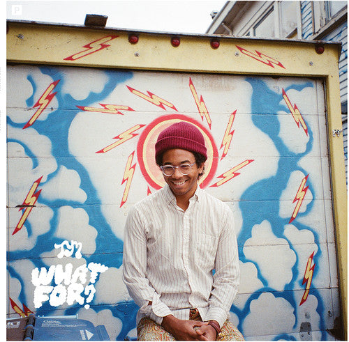 Toro y Moi - What For? (Digital Download Card) Vinyl - PORTLAND DISTRO